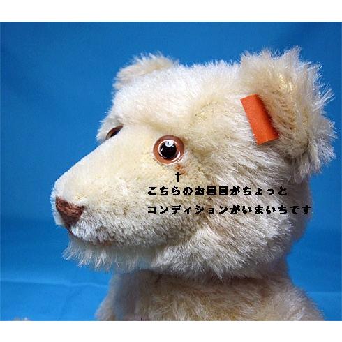 Steiff（シュタイフ） アウトレット！テディベア ディッキーベア