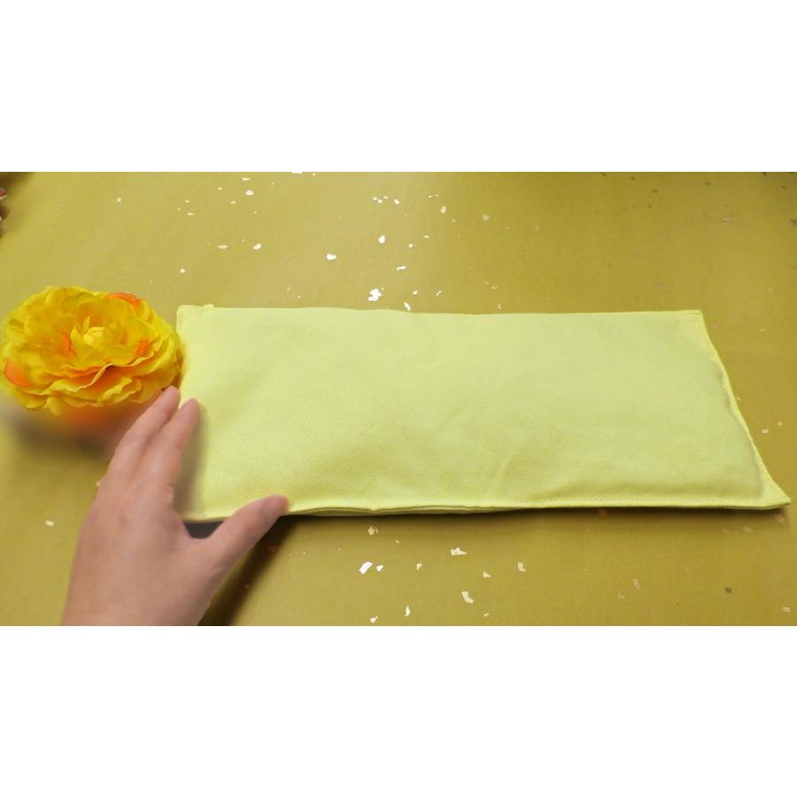 岩盤浴 持ち運び 自宅 岩盤浴 健康商品 レンジでほっとピロー 天照石