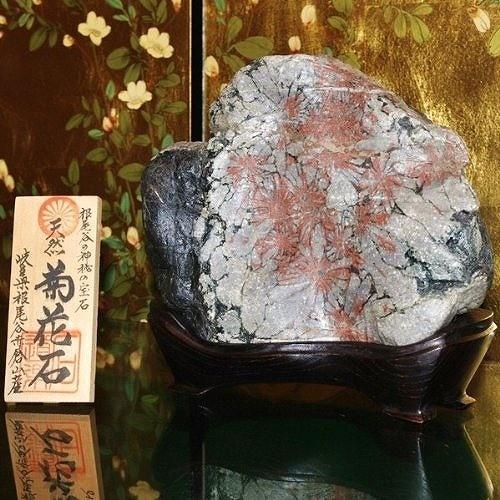 theory xyz 菊花石 岐阜県根尾谷赤倉山産 純国産 : theory xyz - 通販