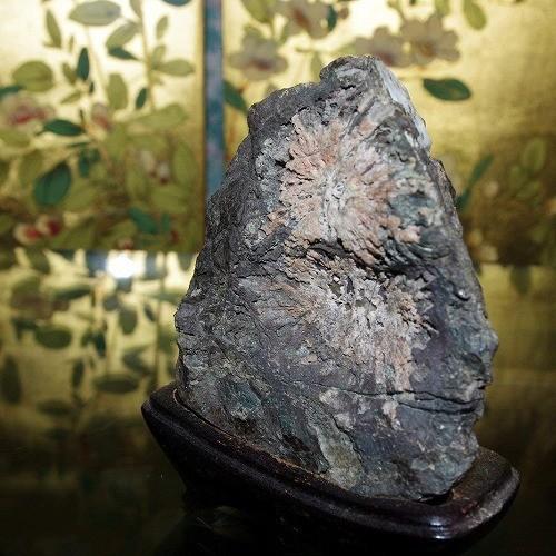 theory xyz 菊花石 岐阜県根尾産 純国産 サバ菊 ミニ : theory xyz