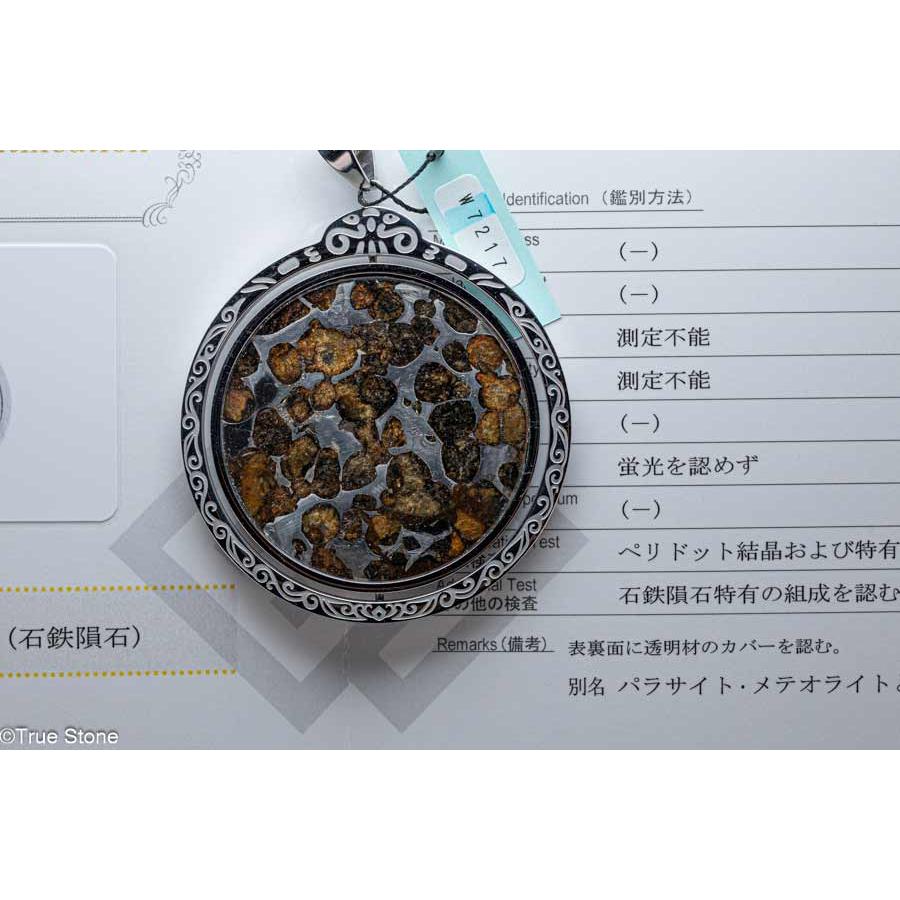 鑑別書付き AAA パラサイト隕石 回転 大型 ペンダントトップ 62.56g 石