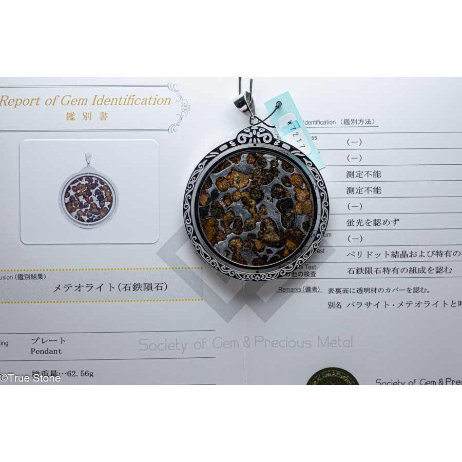 鑑別書付き AAA パラサイト隕石 回転 大型 ペンダントトップ 62.56g 石