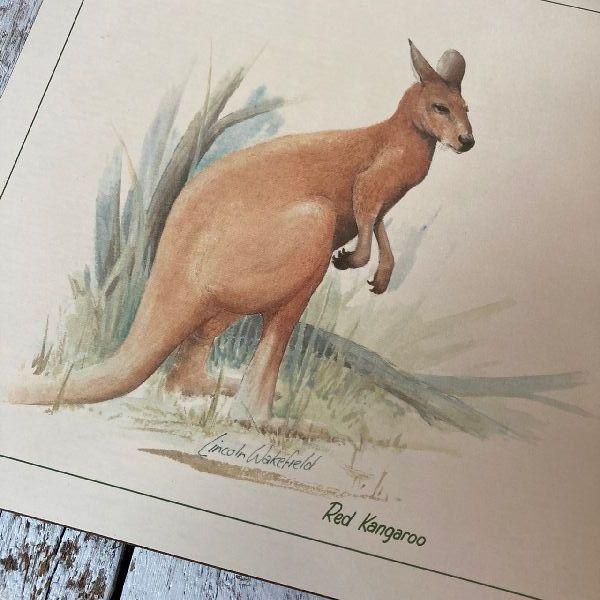 VINTAGE ≫ニュージーランド製ヴィンテージ未使用*JASONジェイソン