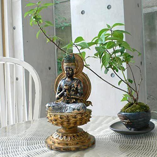 イSム TanaCOCORO [掌] 大日如来 仏像 フィギュア ポリストーン 正規