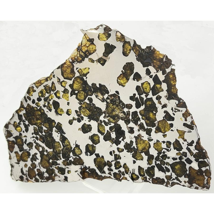 イミラック・パラサイト 石鉄隕石 560g Imilac Pallasite Meteorite