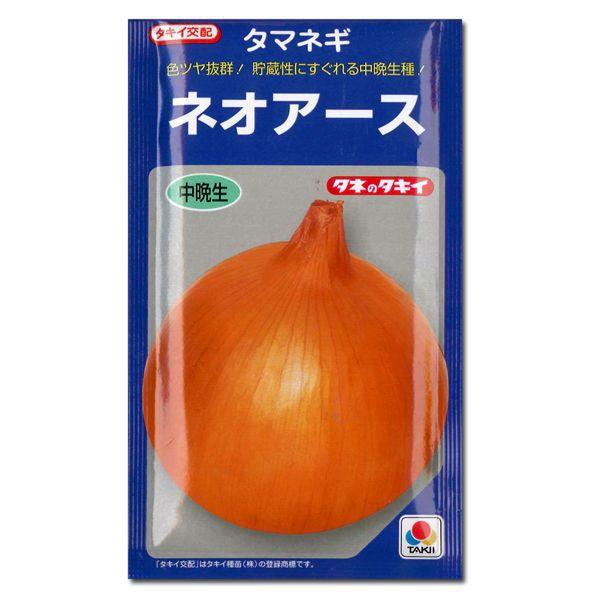 野菜の苗 中晩生 ネオアース・タマネギ 玉葱苗 玉ねぎ 約100本 【11月