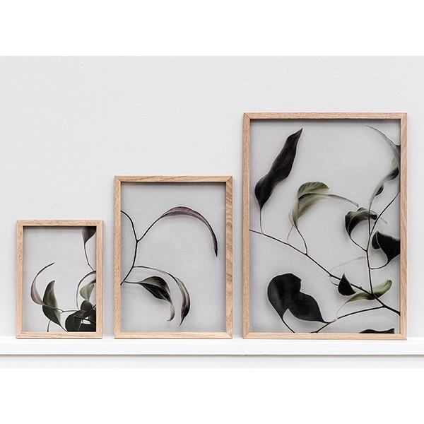 Paper Collective（ペーパーコレクティブ） ポスター アートポスター