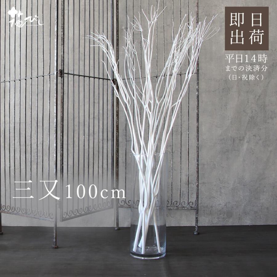 ドライフラワー 花材 即日出荷 三又(100cm) 白 枝 三又 プリザーブド