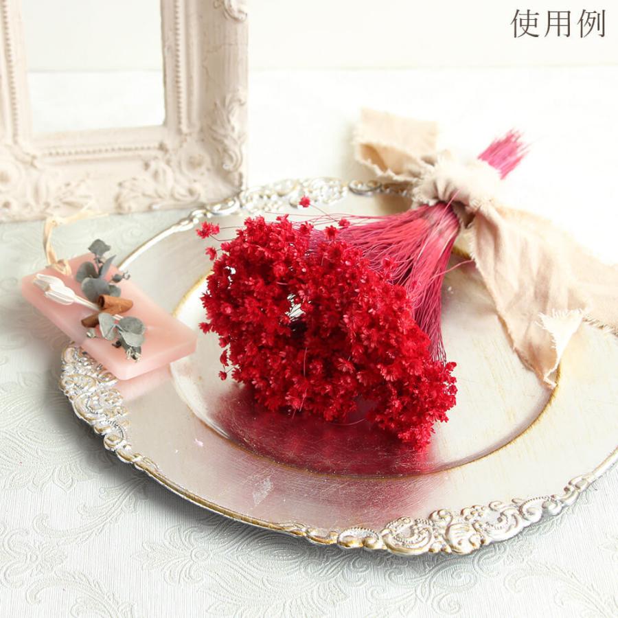 ドライフラワー 花材 即日出荷 スターフラワー・ミニ レッド スワッグ