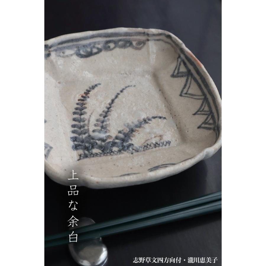 志野焼：志野草文四方向付・瀧川恵美子《中皿・16.0m》 : 和食器の愉し