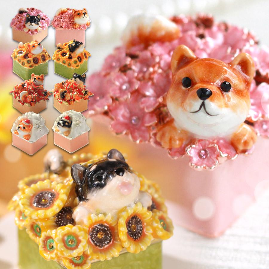 東京銀座PICALS 【正規品】 ジェリーボックス 柴犬のふく・こてつ 犬