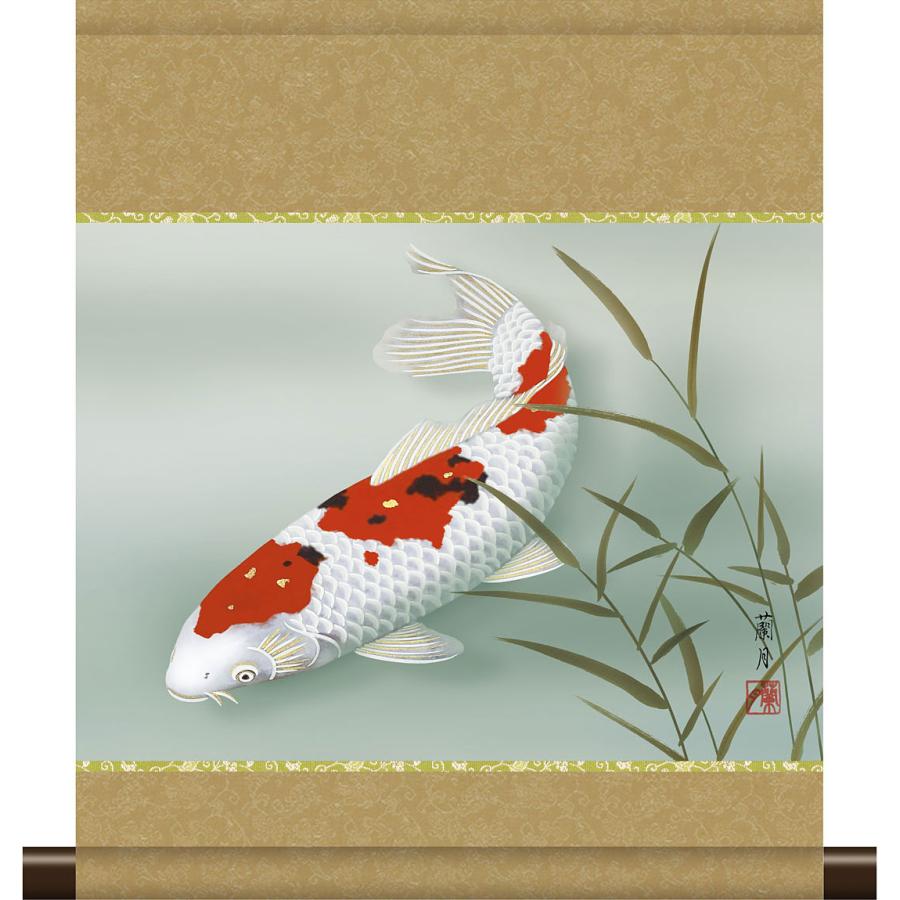 掛軸 掛け軸 和風モダン掛 夏用 錦鯉 吉井蘭月 約横35cm×縦42cm ミニ