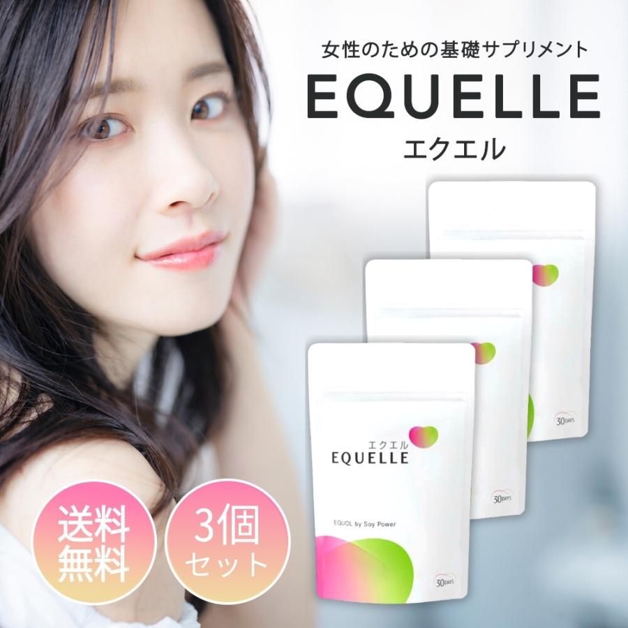 大塚製薬 エクエル パウチ エクオール 120粒入り 3袋 : Vobiria Style