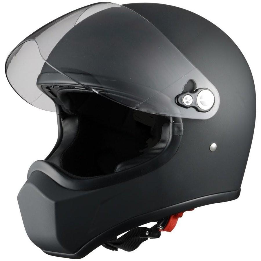 油絵 F4新作大賀ハス 、ゴールド額縁ガラス入り。 値下げ 油絵 F4新作