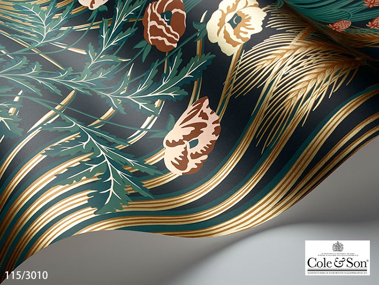 kabecolle_tecs1153008_5