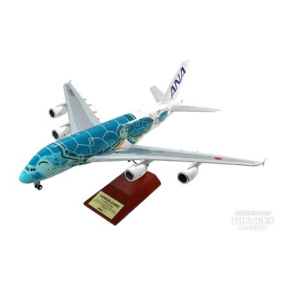 フライングホヌのおすすめ人気ランキングTOP100 - Yahoo!ショッピング