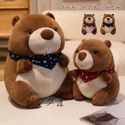 Marmot おすすめ人気商品一覧 通販 - Yahoo!ショッピング