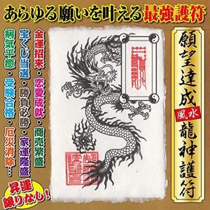 願望達成】風水龍神護符 パウチ 金運 恋愛運 健康 ギャンブル 宝くじ