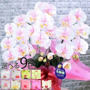 閉店セール☆75％OFF】光触媒 胡蝶蘭 3本立ち 造花 ギフト 開店祝い