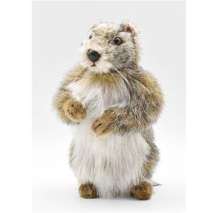 ケーセン ぬいぐるみ Kosen マーモット 34cm Murmeltier 