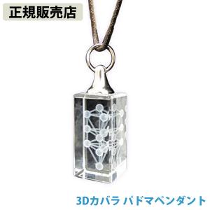 25日はクーポンで￥300OFF】模型 3Dカバラ パドマ（ステンレス） 丸山