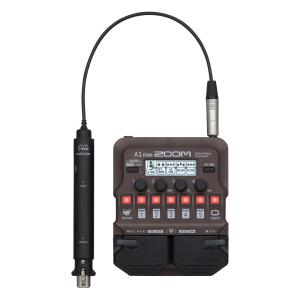 Vivie Dolphin Deverb アンビエントディレイリバーブ《エフェクター