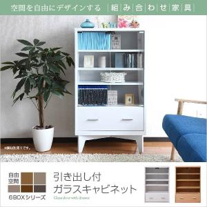 キャビネット ガラス扉 ディスプレイラック 扉付き コレクションラック