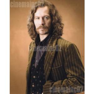 ゲイリー・オールドマン/『ハリー・ポッター』前を見つめるシリウス