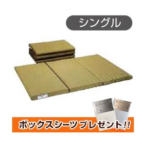 日本ヘルス工業 ヘルスロールキング（シングル）ヘルスロール