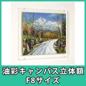 油彩キャンバス F10 額縁 壁掛け ケース ボックス 箱型 奥行 絵画 油絵