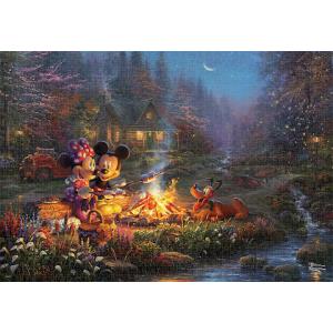 テンヨー（Tenyo） ディズニー ジグソーパズル D-300-263 トワイライト