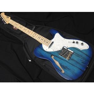 FUJIGEN（フジゲン） FGN FUJIGEN NTE100MAH SBB テレキャスター