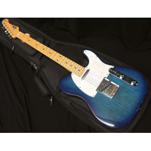 FUJIGEN（フジゲン） FGN FUJIGEN NTE100MAHT SBB テレキャスター シン