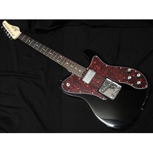 FUJIGEN（フジゲン） Basic Classic BCTL10RBD BK 01 FGN