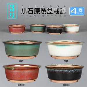 盆栽鉢 色鉢 緑釉外縁胴紐楕円鉢 陶器 4号 11cm グリーン 小品盆栽