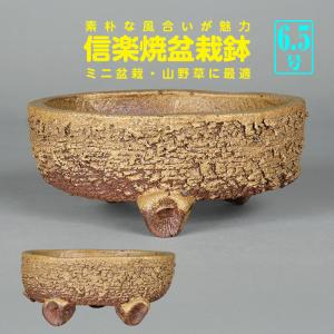 盆栽鉢 色鉢 白均釉外縁丸鉢 陶器 3号 10.5cm ホワイト 小品盆栽 ミニ