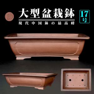 盆栽鉢 烏泥外縁隅切額面長方鉢 植木鉢 中国鉢 張氏製陶 落款あり 18号