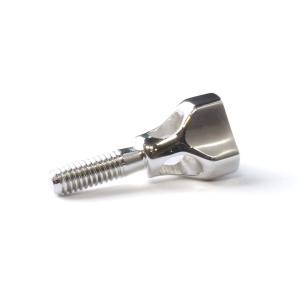 SAX用ネックスクリュー ウッドストーン AutoMagicScrew 銀合金