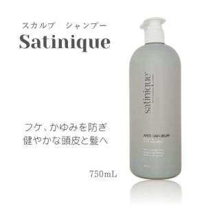 Amway（アムウェイ） サテニーク リペア シャンプー 280ml : BRハウス