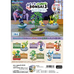 リーメント ポケットモンスター ぽけっとBONSAI3 -移りゆく季節と共に