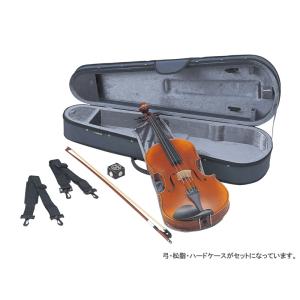 カルロジョルダーノ ビオラセット VL-2 15.5