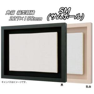 角箱 F4号 333×242mm 箱型額縁 油絵額縁 油彩額縁 油絵額 油彩額 油絵