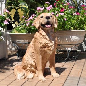 犬 置物 本物そっくり ゴールデンレトリバー ちょーだい 大型 オブジェ