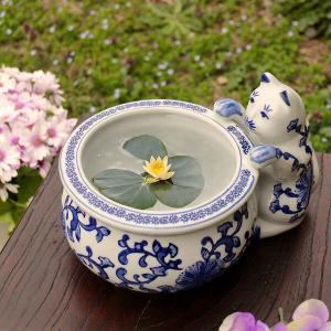 青磁 陶器 猫付魚缶 金魚鉢 メダカ 睡蓮鉢 水鉢 かわいい : ラタン