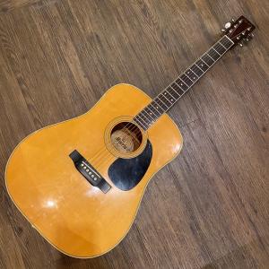 Morris Morris B-50 12弦 Acoustic Guitar Made in Japan