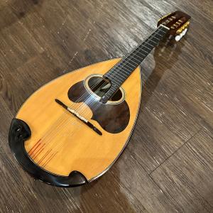 スズキ（SUZUKI） Suzuki No.6 Mandolin マンドリン -GrunSound-z022