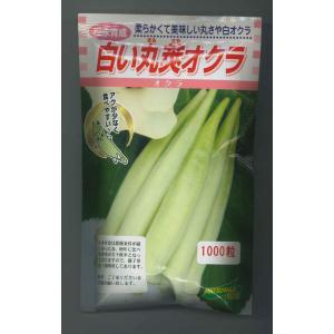 サカタのタネ（サカタノタネ） オクラ ピークファイブ 2dl （株