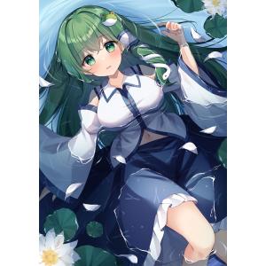 東方Projectクリアファイル 東方クリアファイル 多々良小傘5