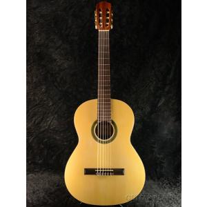 Epiphone Les Paul Standard Plus Top Pro Dirty Lemon《エレキギター