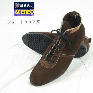 青木産業 【限定】青木産業 ATENEO アテネオ ZRシリーズ 安全靴 ZR21